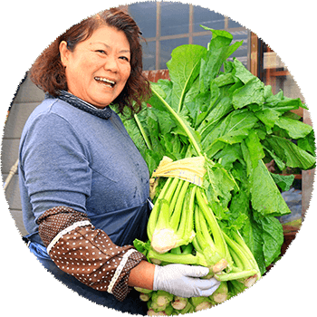 野沢菜漬け